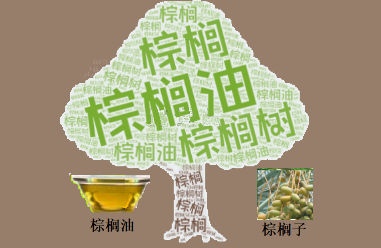 美联储降息预期分析:3月与5月的展望
